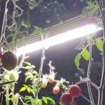 Фитосветильник FitoRay 120Вт, универсальный