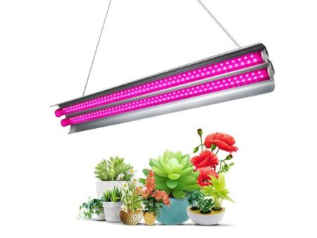LED светильники FitoRay